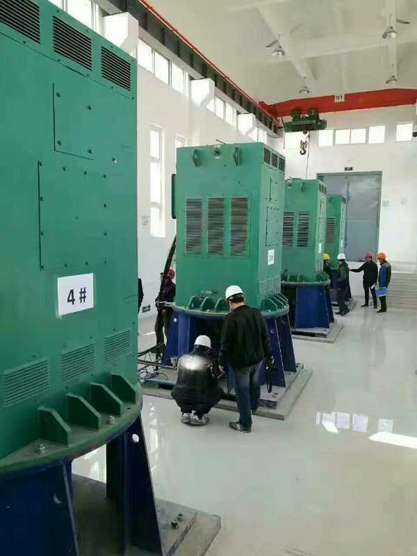 乾县某污水处理厂使用我厂的立式高压电机安装现场